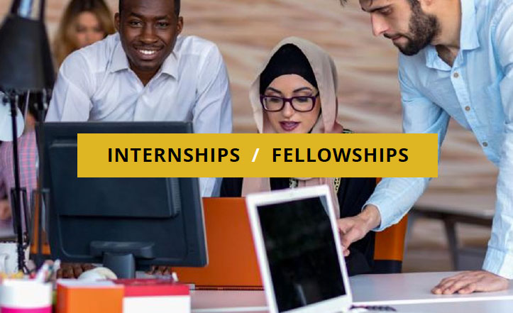 Internship Fellowships