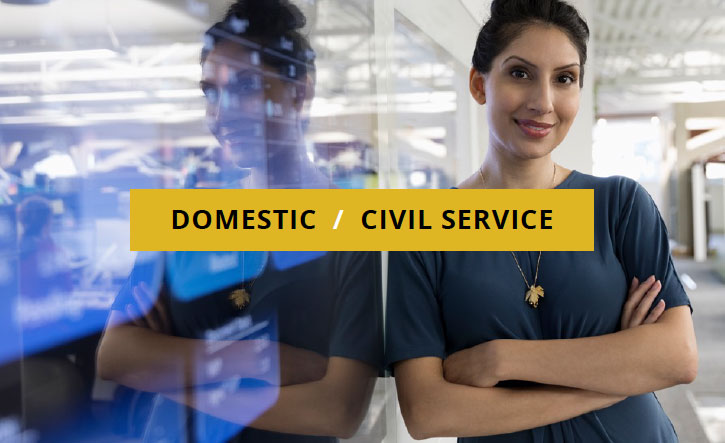 Domestic Civil Service