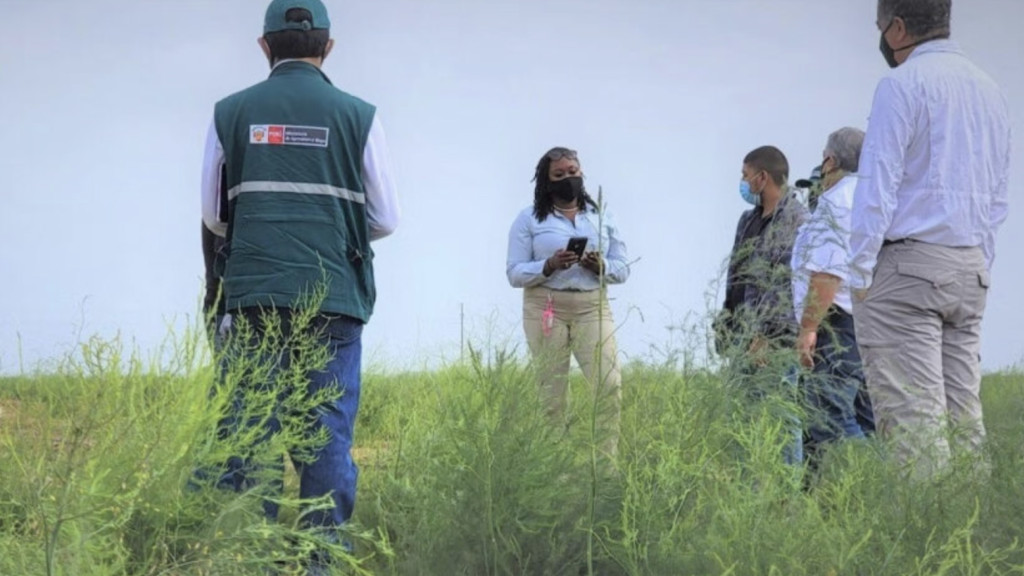Shavonn Whiten conducts a field visit with SENASA and Peruvian asparagus growers in La Libertad region. Image | USG APHIS FSO